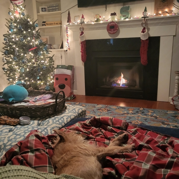 Meet your Posher, Heidi - Picture 3 of 3